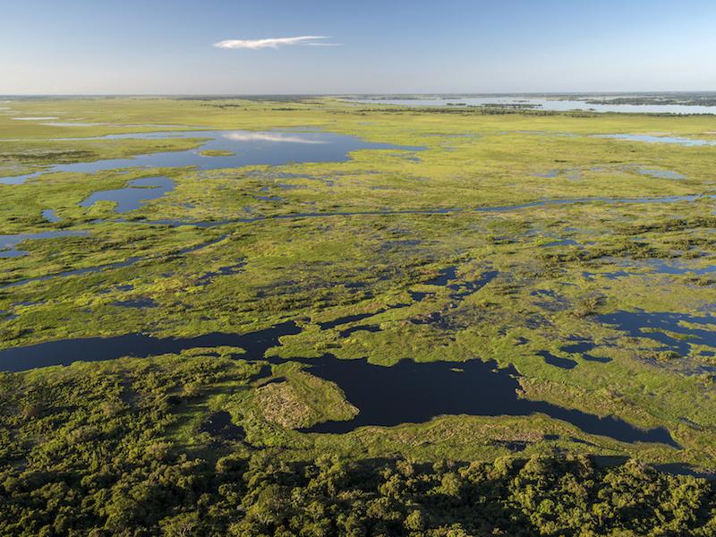 Landschaft im Nord Pantanal