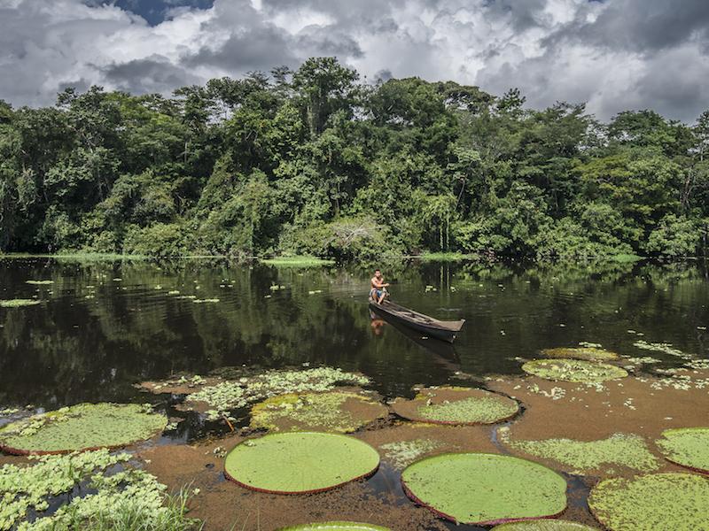 Amazonaslandschaft in Brasilien